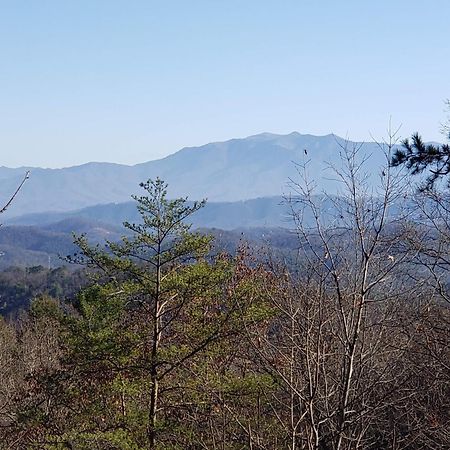 Lazy Bear Cabin Sevierville Esterno foto