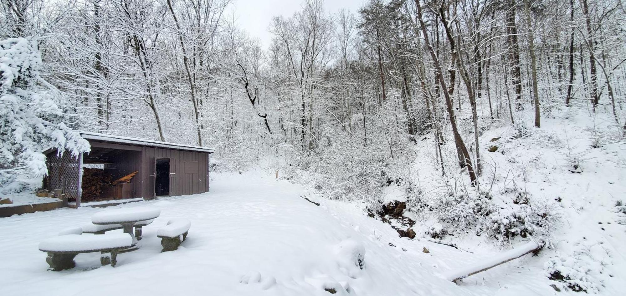 Lazy Bear Cabin Sevierville Esterno foto
