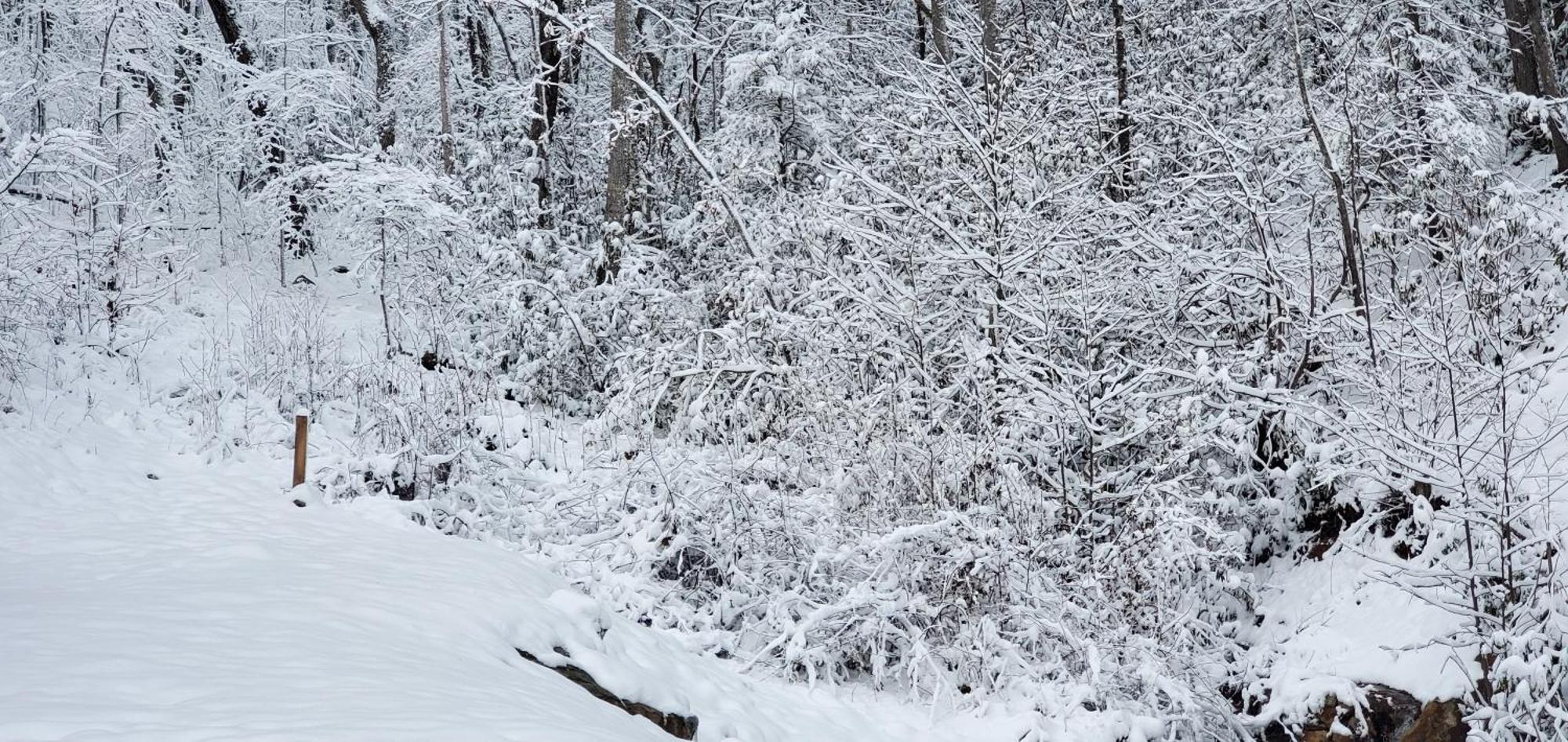 Lazy Bear Cabin Sevierville Esterno foto